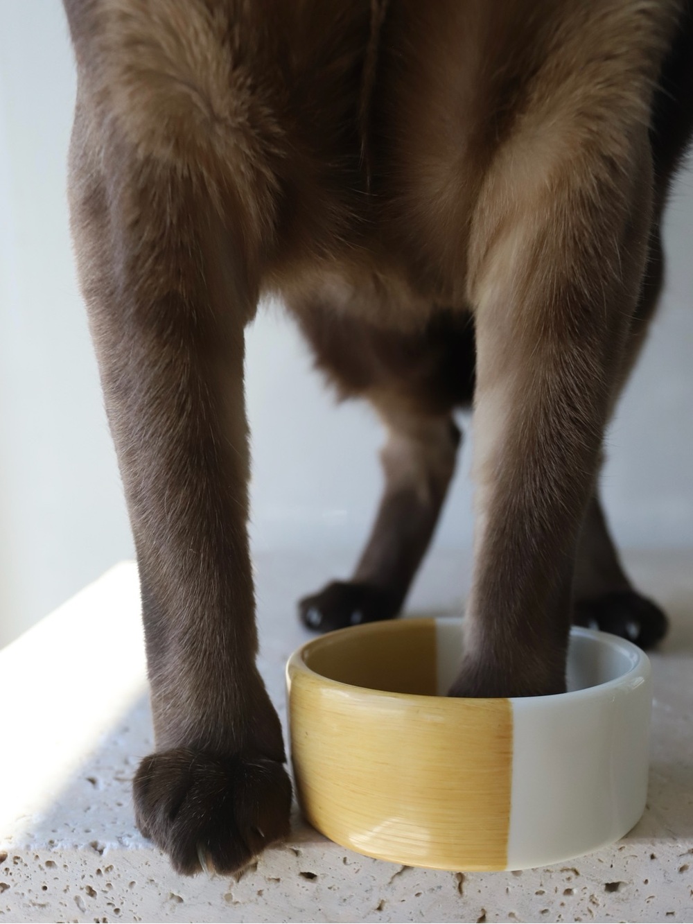 Chunky bangle in Brown and Cream